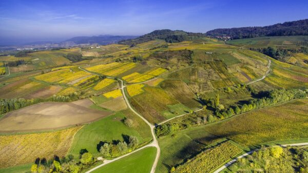 découverte des vignes de pupillin en quad
